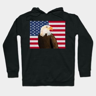 Eagle with American Flag with Silver Stripes Hoodie